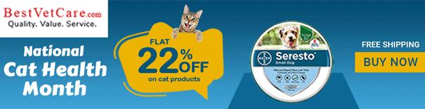 Flat 22% OFF All Cat Products